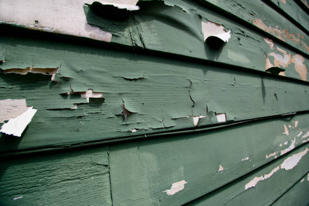 Frisco City, AL Siding Installation & Repair Company