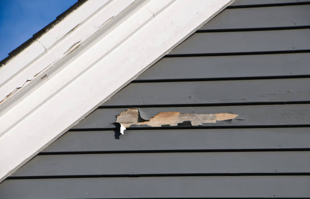 Best James Hardie Siding  in Frisco City, AL