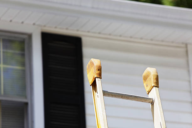 Best Siding Painting and Refinishing  in Frisco City, AL